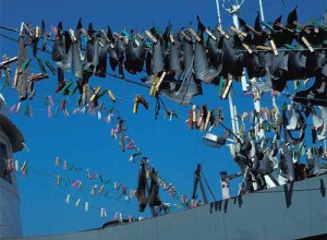 Aletas de tiburón al sol