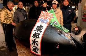 Subasta de atún rojo en Japón