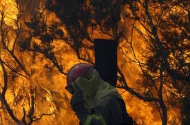 Bombero entre las llamas ( fuente: La Vanguardia) Bombero entre las llamas ( fuente: La Vanguardia)