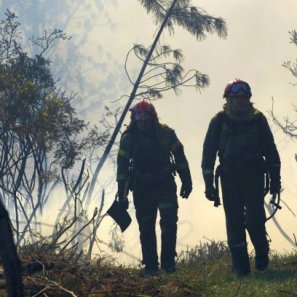 Dos bomberos en plena faena de extinción Dos bomberos en plena faena de extinción