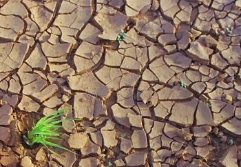 Cambio climático en España