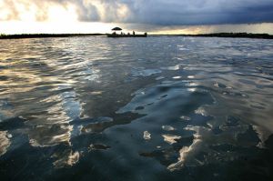 Derrame de petróleo