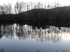 Atardecer a la orilla del Tormes