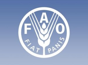 Organización de las Naciones Unidas para la Alimentación y Agricultura