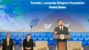 Fundación de Leonardo DiCaprio