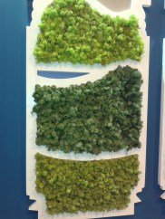 Asturias Paraíso Natural