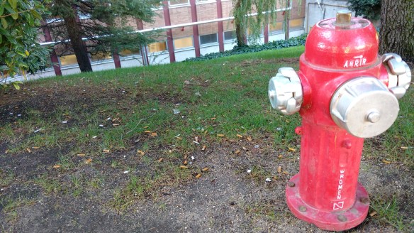 Colillas a la puerta del Hospital Universitario 12 de Octubre, Madrid